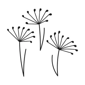 Set of three Delicate stylized dandelion flowers . Doodle logo vector outline Stock Illustration