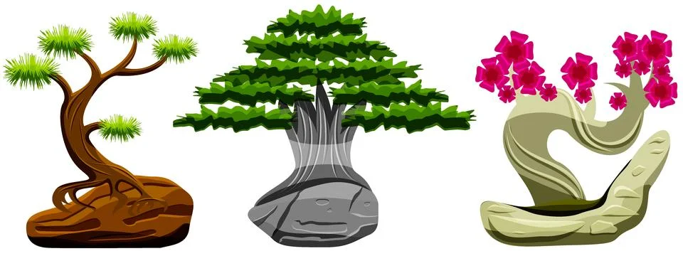 Set of three different bonsai trees isolated on white background Stock Illustration