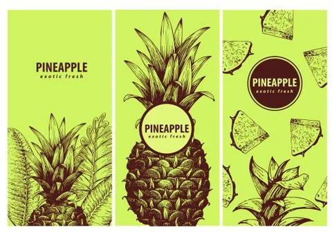 Set of three exotic labels with pineapple. Great for organic food, medicine Stock Illustration