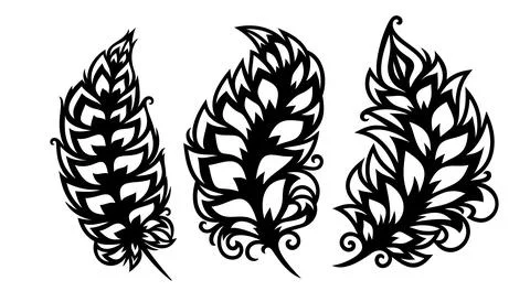 Set of three feathers.  Ilustración de archivo