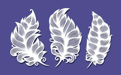 Set of three feathers.  Stock Illustration