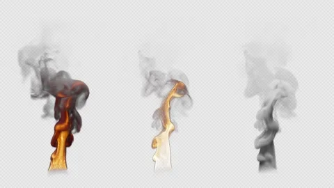 Set of three fire burning variants. File contains Alpha Channel. Stock Footage 308739847