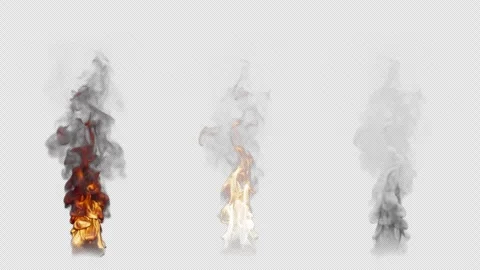 Set of three fire burning variants. File contains Alpha Channel. Stock Footage 310794503