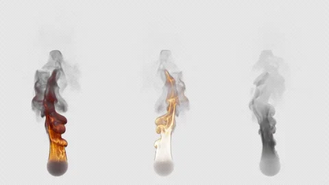 Set of three fire burning variants. File contains Alpha Channel. Video stock 312110012
