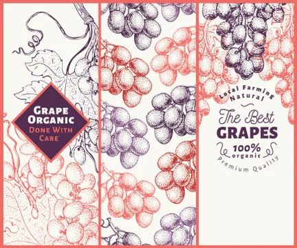Set of three grape banners. Grape berry frame template. Hand drawn vector fruit Stock Illustration