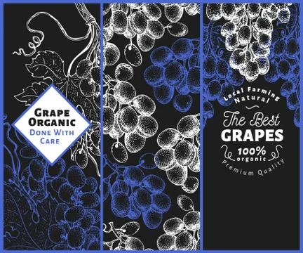 Set of three grape banners. Grape berry frame template. Hand drawn vector fruit Stock Illustration