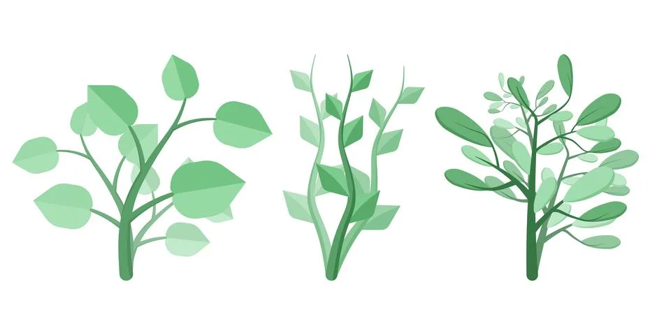 Set of three green trees and leaves Stock Illustration