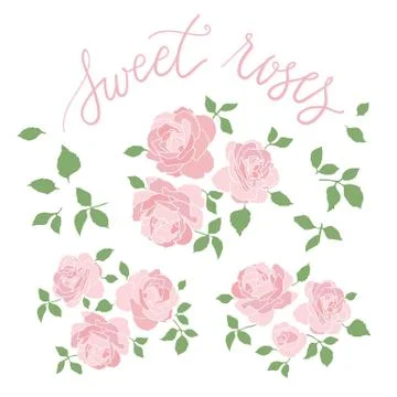 Set of three hand drawn rose bouquets and additional leaves Illustration