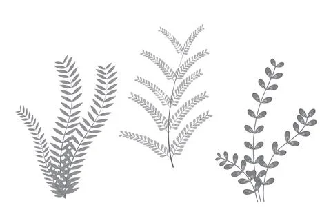 Set of three Handdrawn abstract natural leafs botnical design, art floral e.. Иллюстрация