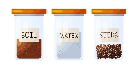 Set of Three Labeled Jars Soil Water Seeds 库存插图