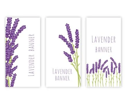 Set of three lavender banners Stock Illustration