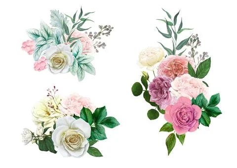 Set of three lush rose bouquets with leaves and berries Stock Illustration