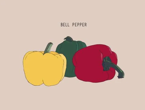 Set of three peppers. Yellow, red and green pepper. Vector illustration. Stock Illustration