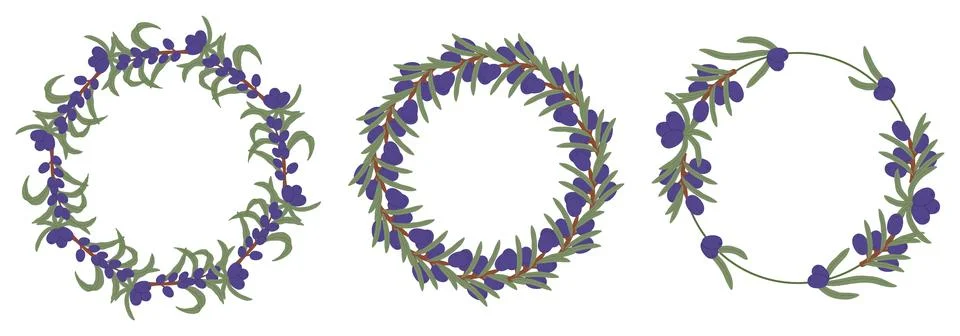 Set of three round decorative frames with olive branches and berries Stock Illustration