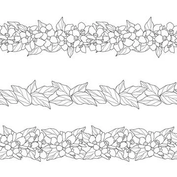 Set of three seamless border patterns with flowers and leaves. Black and white Stock-Illustration