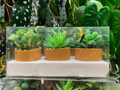 Set of three small artificial succulent plants in terracotta pots inside a .. Foto stock