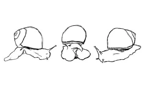 Set of three snails Stock Illustration