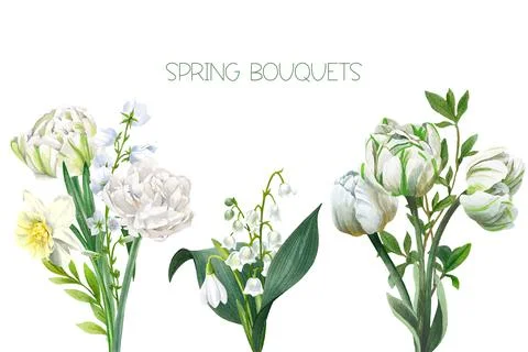 Set of three spring bouquets with snowdrops Stock Illustration