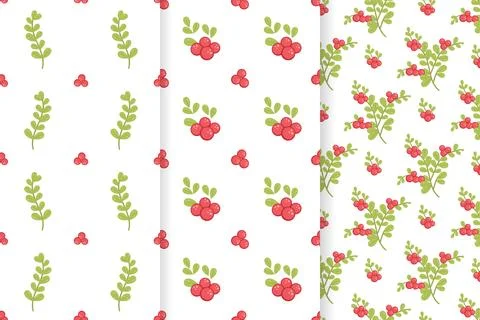 Set of three vector seamless floral patterns on white backgrounds. Stock Illustration