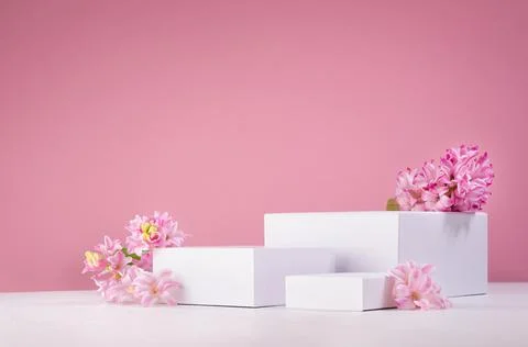 Set of three white podiums for presentation cosmetics produce with fresh spri Stock Photos