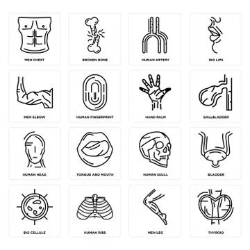 Set of Thyroid, Men Leg, Big Cellule, Human Skull, Head, Hand Palm, Elbow, Ar Selección de ilustraciones gratis