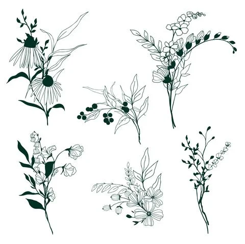 Set of tiny hand drawn floral elements Stock Illustration
