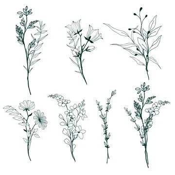 Set of tiny hand drawn floral elements Stock Illustration