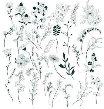 Set of tiny hand drawn floral elements Stock Illustration