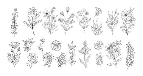 Set of tiny wild flowers and plants line art. Stock Illustration