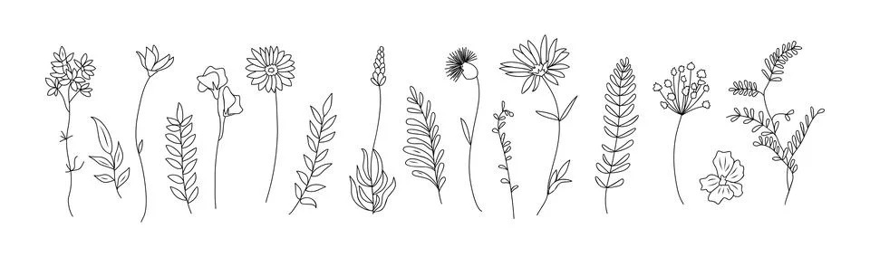 Set of tiny wild flowers and plants line art. Stock Illustration