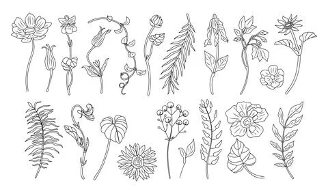 Set of tiny wild flowers, plants line art vector. Stock Illustration