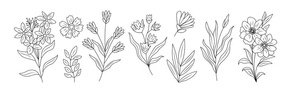 Set of tiny wild flowers, plants line art vector. Stock Illustration