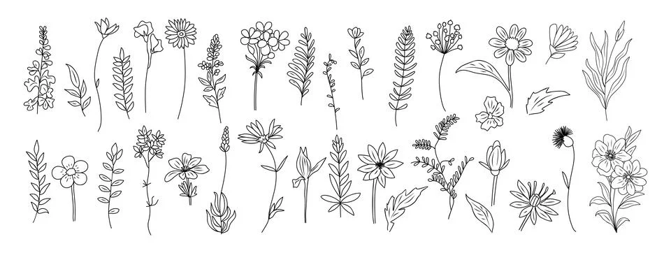Set of tiny wild flowers, plants line art vector. Illustrazione stock