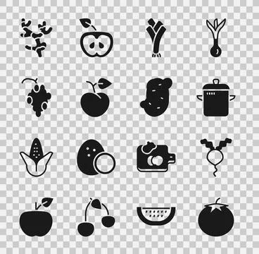 Set Tomato, Radish, Cooking pot, Leek, Peach fruit or nectarine, Grape, Gin.. Stock Illustration