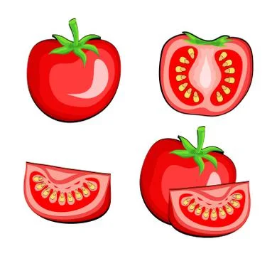 Set of tomato vegetables half and slice. Hand draw vector Illustration, eps 1 Stock Illustration
