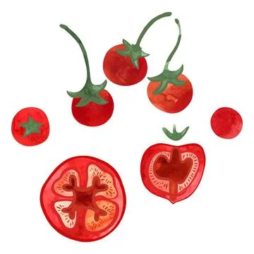 Set of tomatoes and cherry tomatoes, pieces and whole. Topping for pizza Stock Illustration