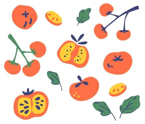 Set of tomatoes. Different types of tomatoes. Whole, sliced, quarter, half of Stock Illustration