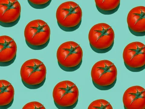 Set of tomatoes on a light blue background.  Tomato pattern. Stock Photos