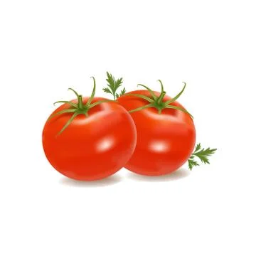 Set of Tomato's vector illustration Design Stock Illustration