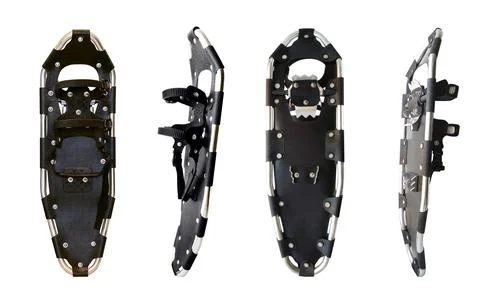 Set of top, back and side views of snowshoes pair Фото