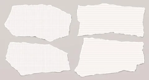 Set of torn, lined, math note, notebook paper with soft shadow are on light grey Stock Illustration