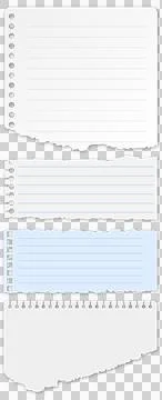 Set of torn paper sheets with spiral binding holes Stock Photos