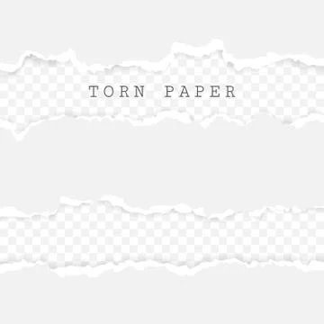 Set of torn paper stripes. Paper texture with damaged edge isolated on transp Illustrazione stock