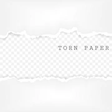Set of torn paper stripes. Paper texture with damaged edge isolated on transp Stock Illustration
