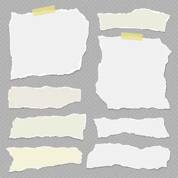 Set of torn, ripped paper strips with adhesive type and soft shadow are on grey Stock Illustration