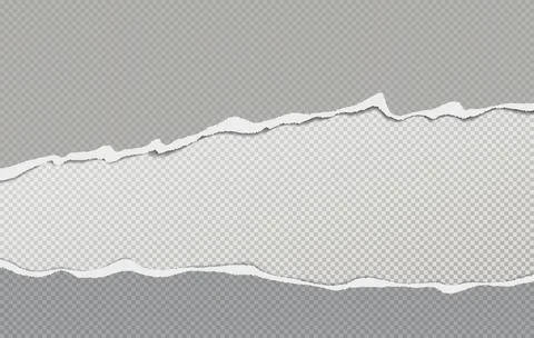 Set of torn squared grey horizontal paper strips with space for text. Vector Stock Illustration