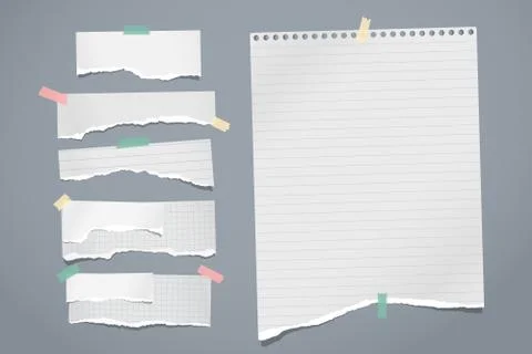 Set of torn white and lined note, notebook paper strips and pieces stuck with Stock Illustration