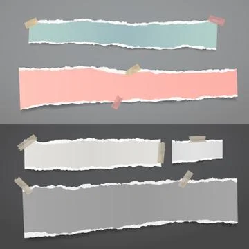 Set of torn of white, gray and colorful note, notebook paper strips and pieces Stock Illustration