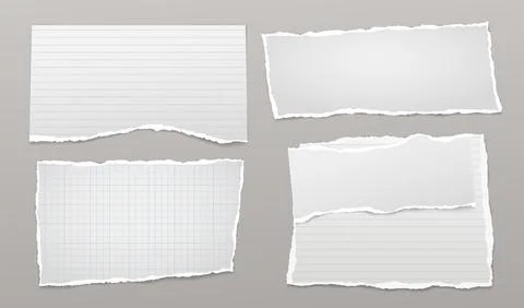 Set of torn white lined, math note, notebook paper pieces stuck on grey Stock Illustration