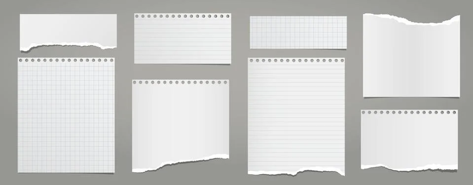 Set of torn white lined, math note, notebook paper pieces stuck on grey Stock Illustration
